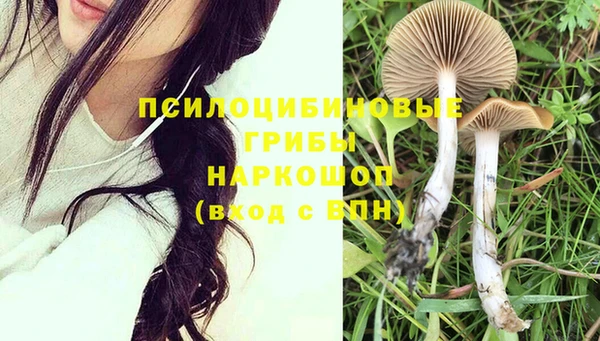 хмурый Белоозёрский